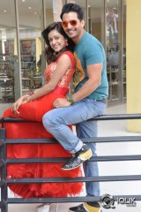 Prema Ishq Kaadhal Platinum Disc Function